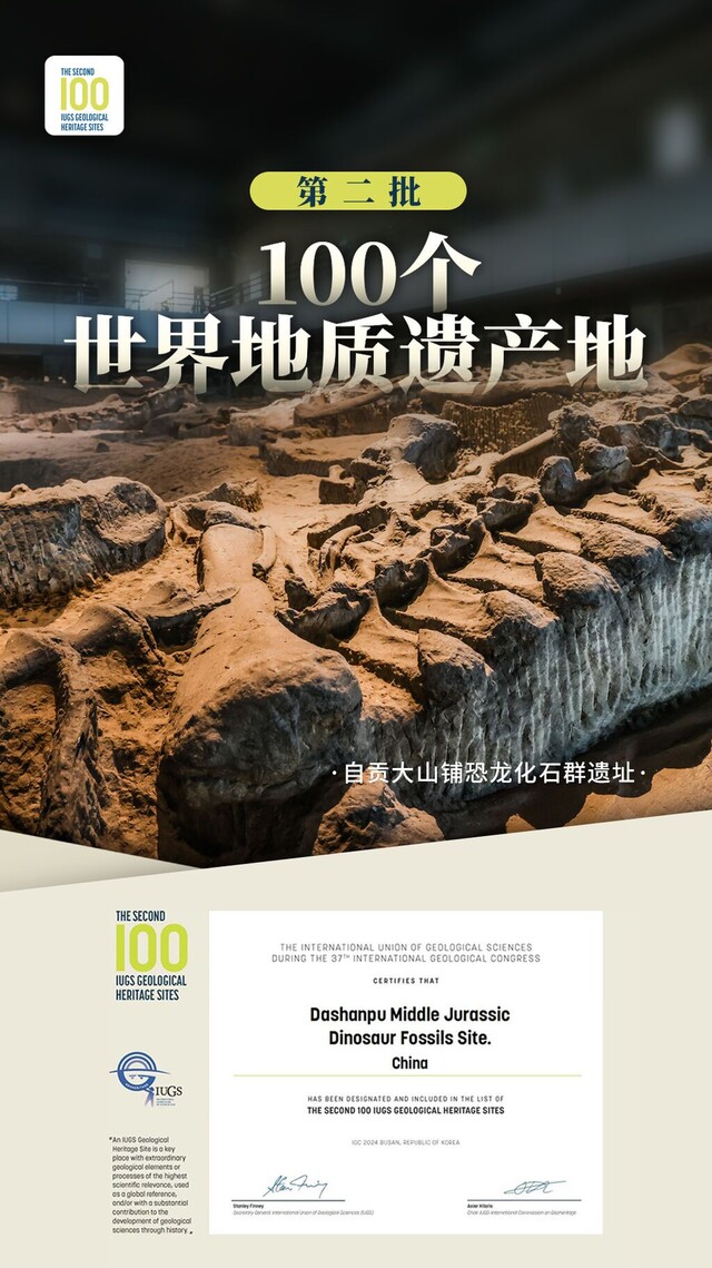 自贡.jpg