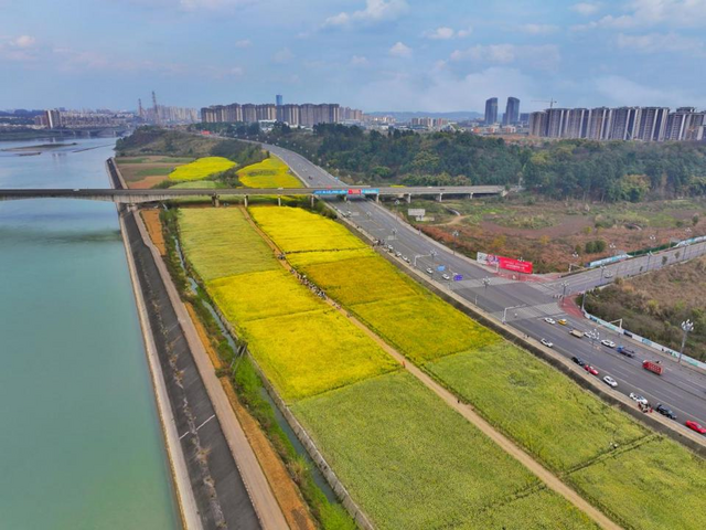 副本昔日撂荒地焕发新生 复耕耕地成新景点379.png