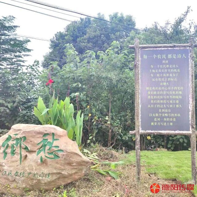 星光村诗意浓浓。  受访者供图.jpg