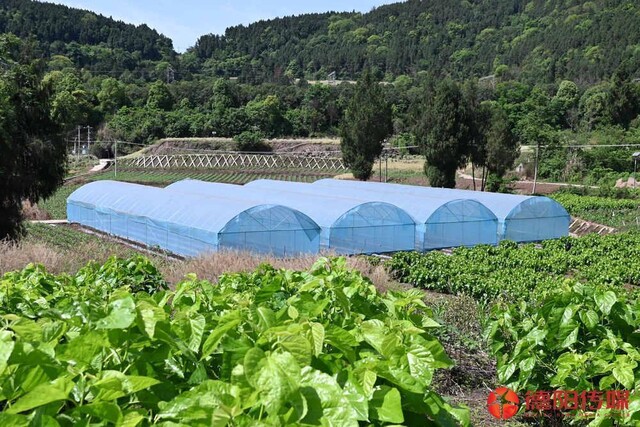 downLoad-20260507193116.jpg