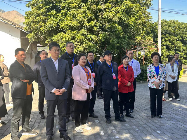 代表委员开展视察调研