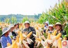 贡井区：金黄棒子齐“交卷” 欢天喜地迎测产