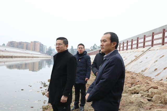 在龙潭镇新大桥开展巡河，督导环保和防洪堤建设情况