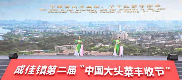 《千年盐都等你来》