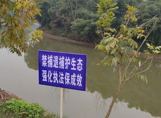 990871f5db988d0e5ecb80e36f008611.jpg