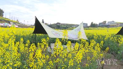 宜宾市凤栖谷农业文创体验园