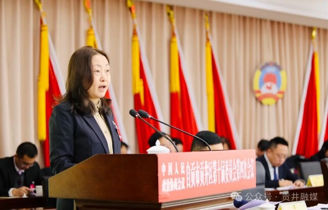 ▲吴鸿莉向大会报告区政协十届二次会议以来的提案工作