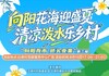 【海报】向阳花海迎盛夏 清凉泼水乐乡村