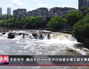 自贡新闻丨多彩贡井 融合共兴——贡井区绘就全域文旅发展新画卷