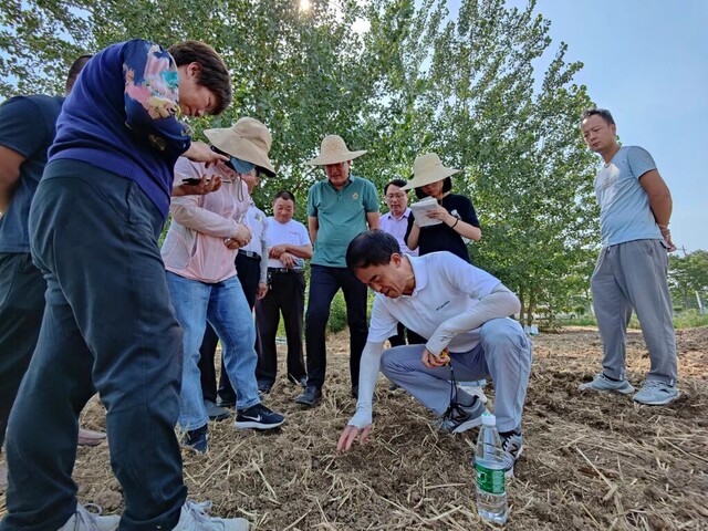 杨文钰（右二）在江苏省新沂市对种植农户进行现场培训。