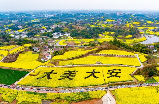 下载图片 (13).jpg