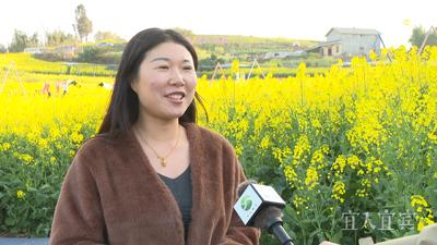 杨平接受宜宾融媒采访